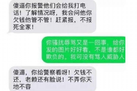 托里要账公司更多成功案例详情